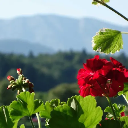 Haulle, Kreuth-scharling Am Tegernsee Kreuth