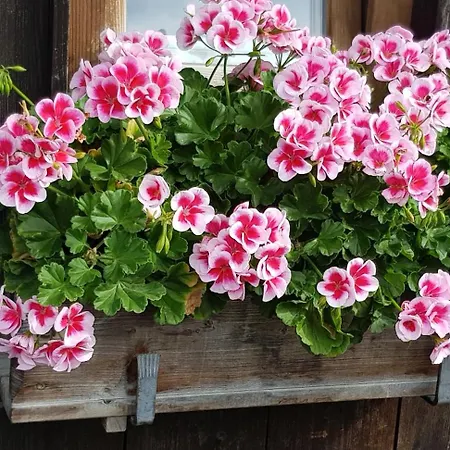 Haulle, Kreuth-scharling Am Tegernsee